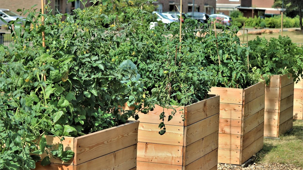 Simple Tips for Planting Up a Shady Patio Container